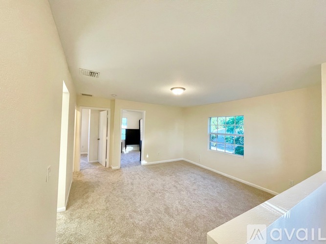 A spacious room with beige carpeting and a window showing greenery outside.