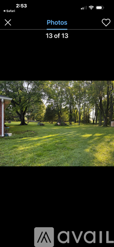 A grassy field with trees in the background.