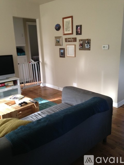 A living room with a grey couch and a television.