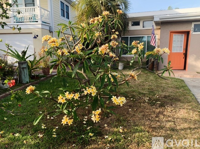 A yellow flowering plant in front of a house.