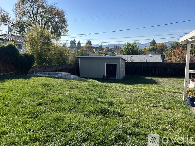 A backyard with a shed and a fence.