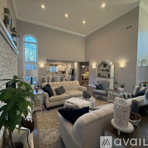 A living room with a white couch and a plant.