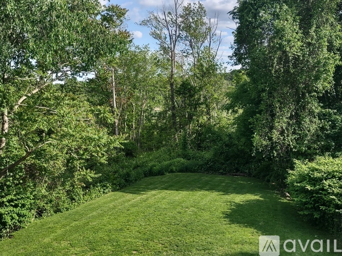A lush green garden with a well-maintained lawn and dense trees.