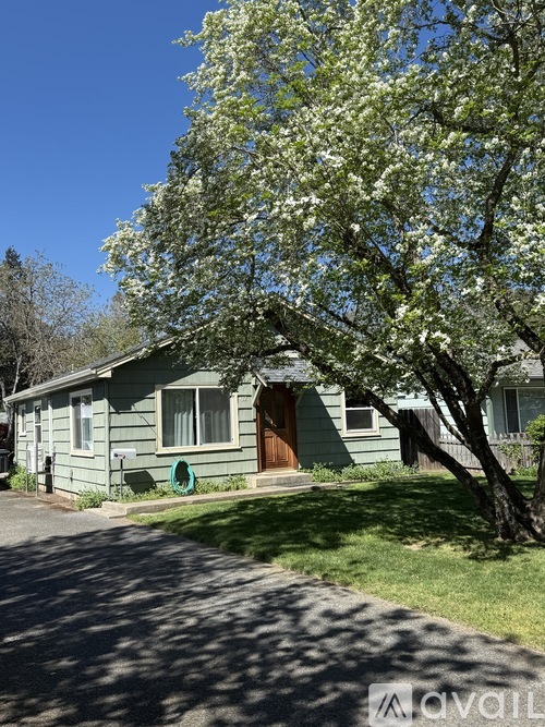 A house with a green lawn and a tree with white flowers in front.