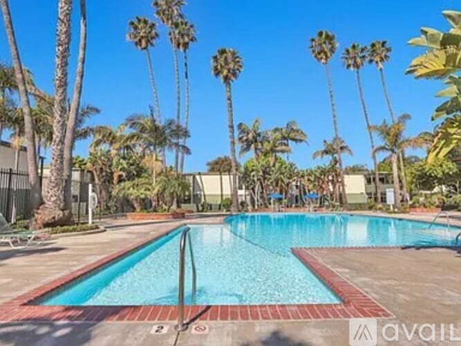 A pool surrounded by palm trees and a red brick border.
