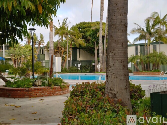 A pool surrounded by trees and plants with a building in the background.