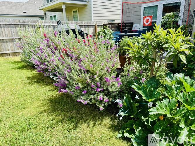 A garden with purple flowers and green plants.