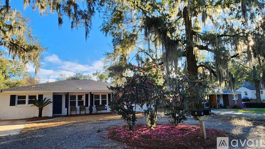 A house with a porch and a tree with hanging vines in front.