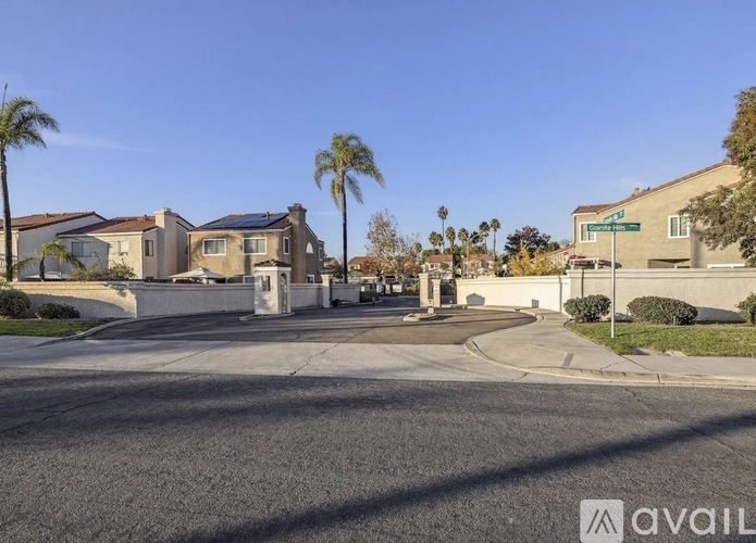 A street view of a residential area with houses and palm trees.