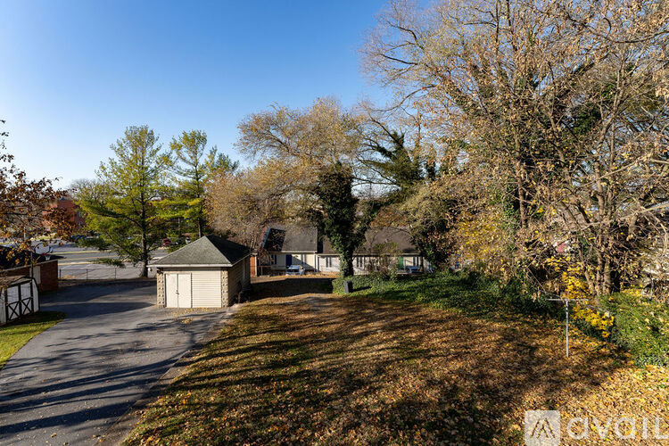 A sunny day in a residential area with houses and trees.
