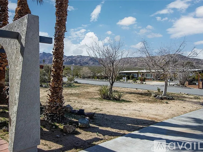 A desert landscape with a palm tree and a signpost.