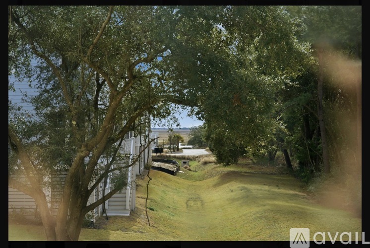 A tree-lined pathway with a building on the left and a body of water in the distance.