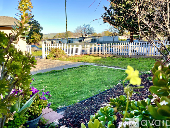 A white picket fence encloses a green lawn.