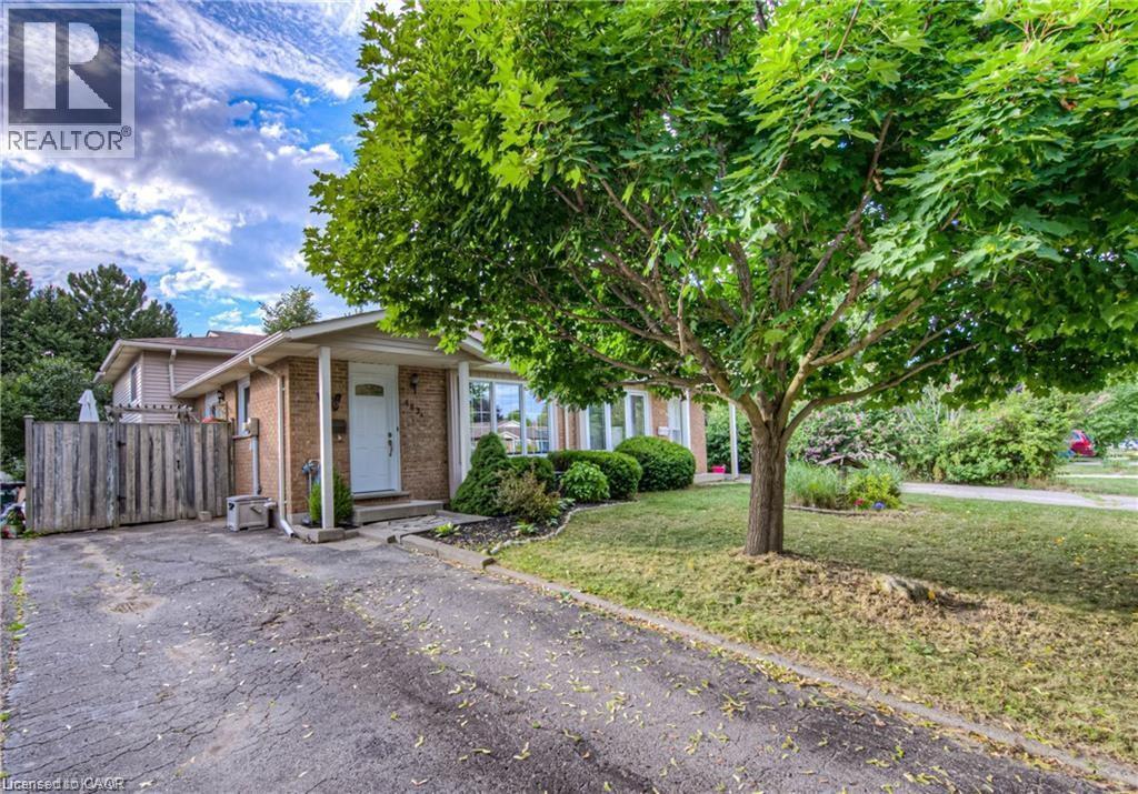 A house with a driveway and a tree in front of it.