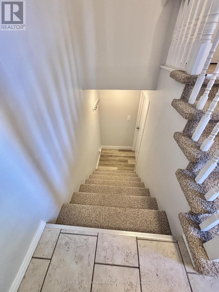 A staircase with a carpeted runner and stone treads.