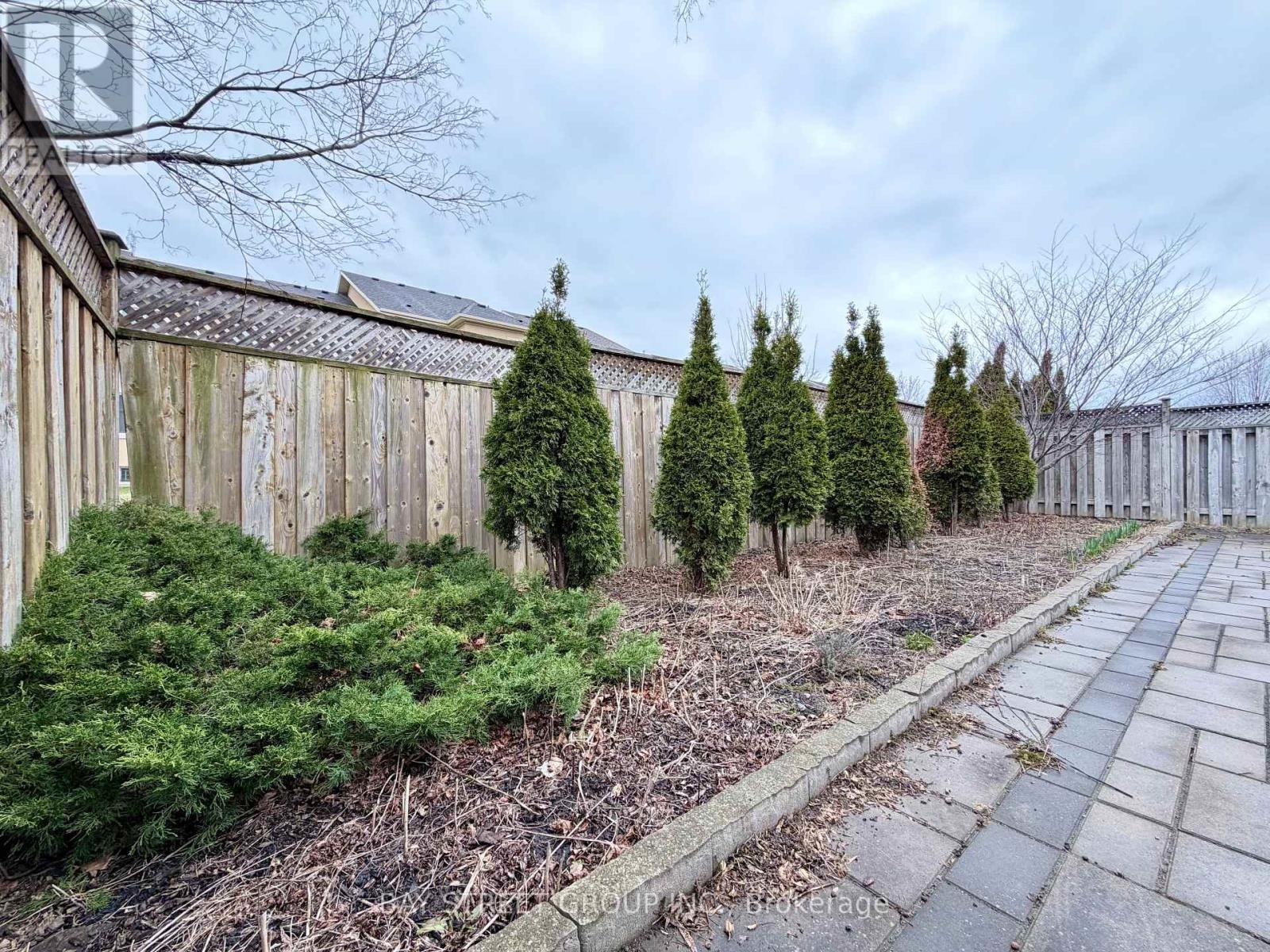 A row of evergreen trees are lined up in a garden.