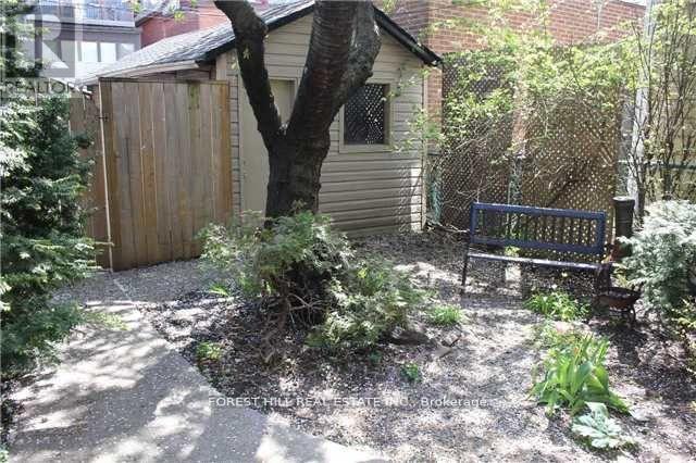 A backyard with a bench, a tree, and a fence.