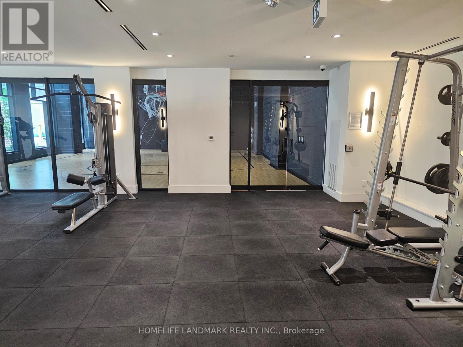 A gym with a weight bench and a squat rack.