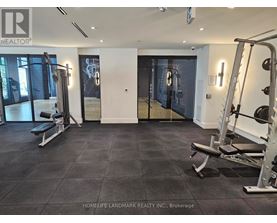 A gym with a weight bench and a squat rack.