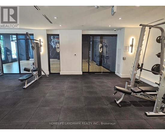 A gym with a weight bench and a squat rack.