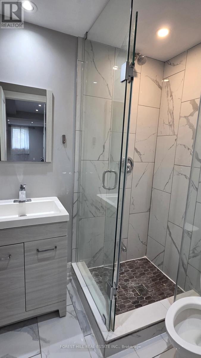 A bathroom with a walk-in shower and a toilet.