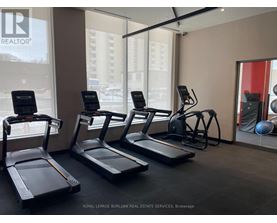 A gym with treadmills and exercise balls.
