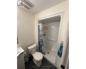 A white toilet sits next to a walk-in shower in a small bathroom.