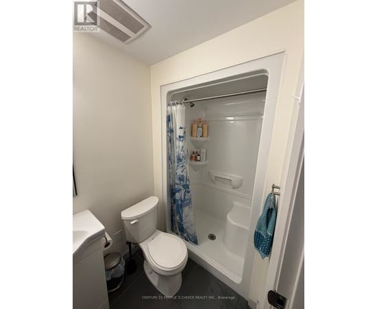 A white toilet sits next to a walk-in shower in a small bathroom.