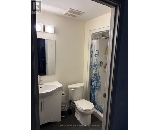 A bathroom with a toilet, sink, and shower.