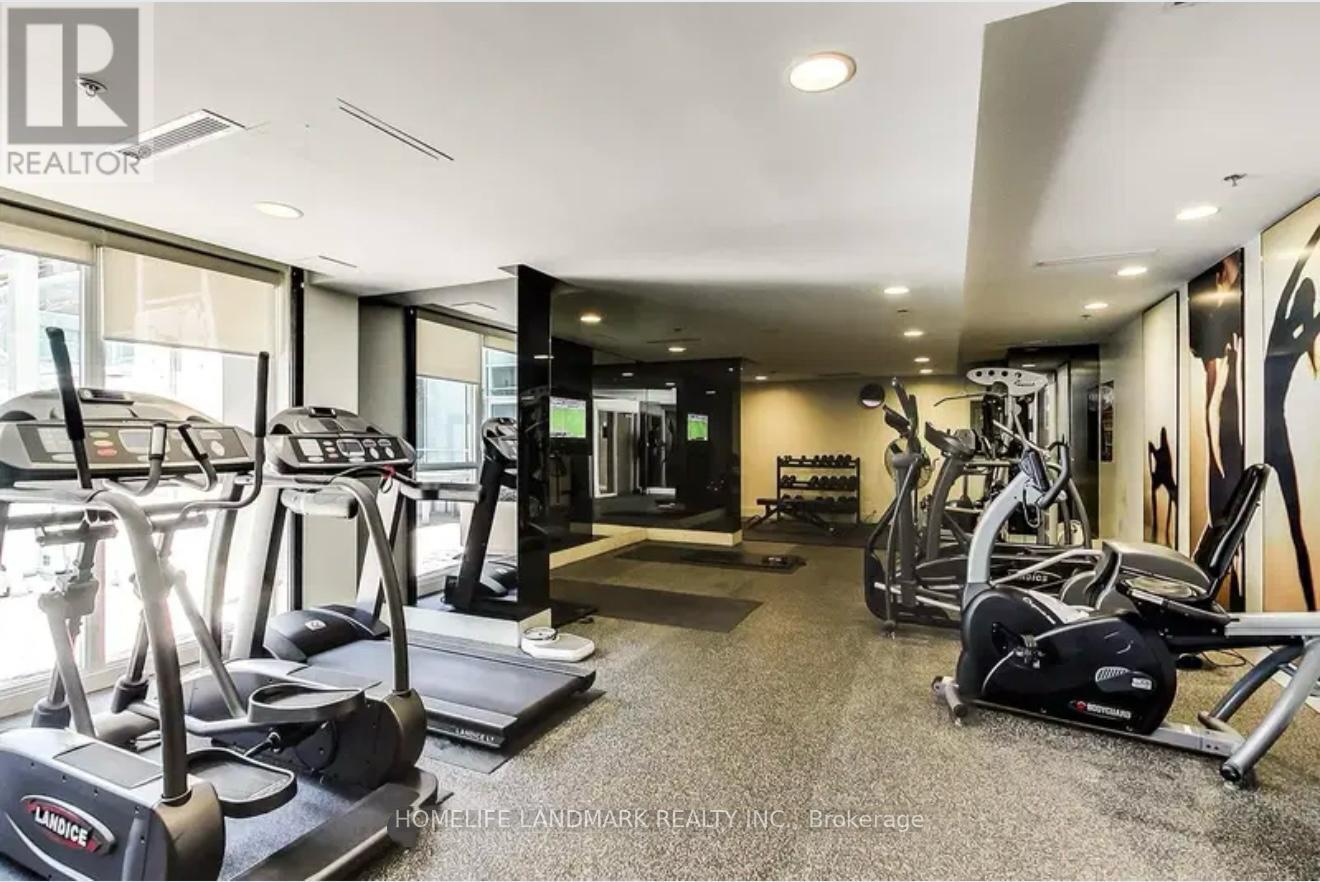 A gym with treadmills, elliptical machines, and a weight bench.