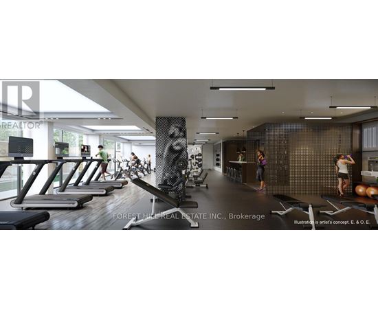 A gym with treadmills, exercise bikes and weights.