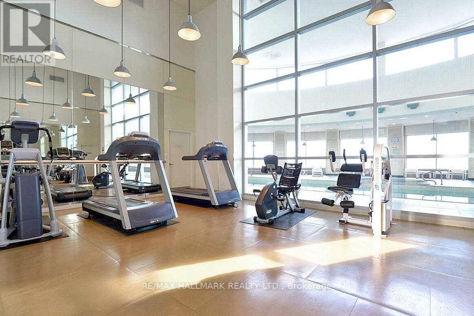 A gym with treadmills, elliptical machines and other exercise equipment.