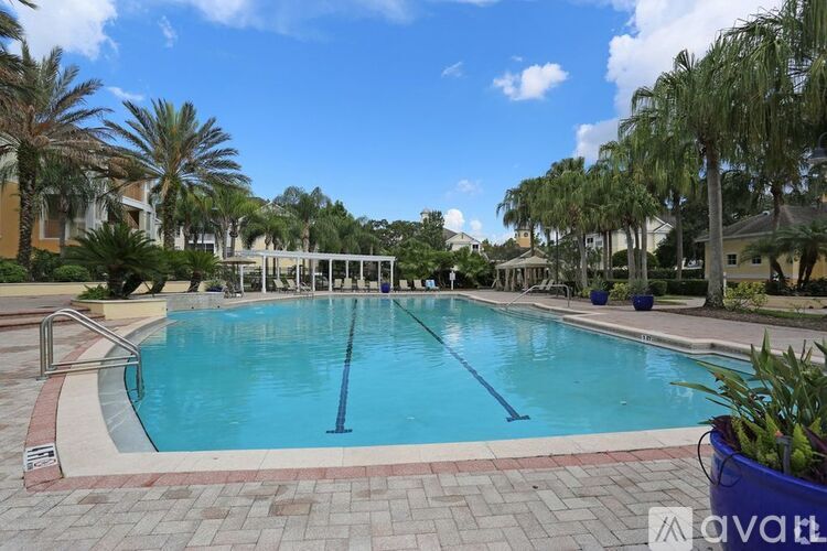 A large outdoor swimming pool surrounded by palm trees and a brick patio.