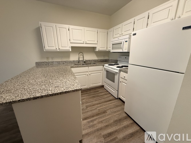 A room with a ceiling fan and carpeted floor.
