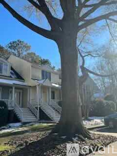 A large tree stands in front of a two-story house.