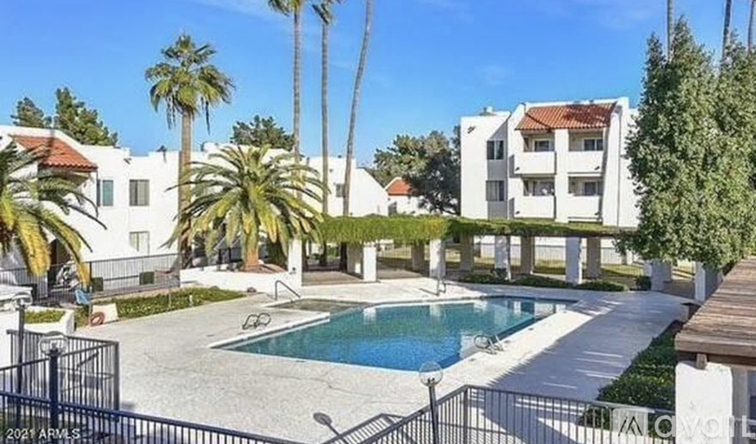 A pool surrounded by a fence and palm trees.