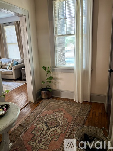 A room with a rug on the floor and a plant on the windowsill.