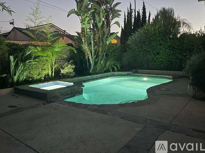 A backyard with a pool surrounded by plants and trees.