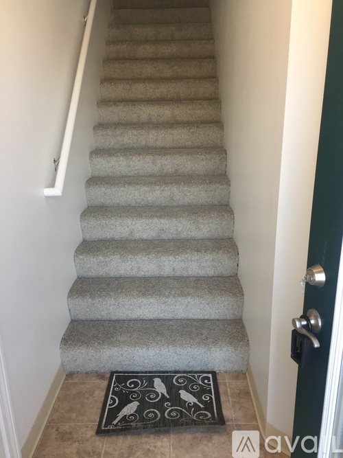 A staircase with a carpet on the floor.
