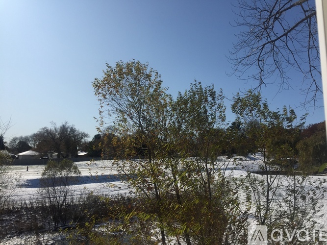 A snowy landscape with trees and a clear blue sky.