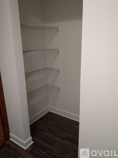 Empty walk in closet with shelves and wood floors.