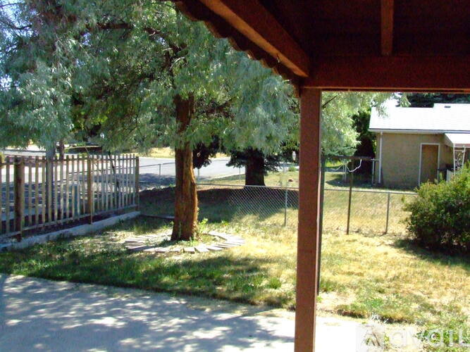 A tree is in the middle of a grassy area.
