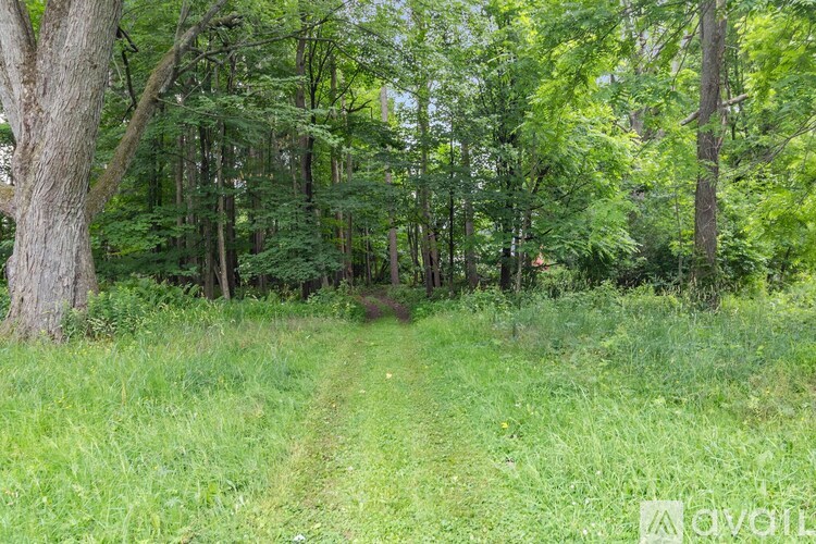 A dirt path winds through a lush green forest.