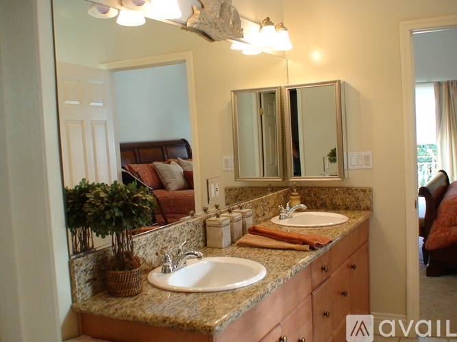 A bathroom with a vanity, a mirror, and a potted plant.