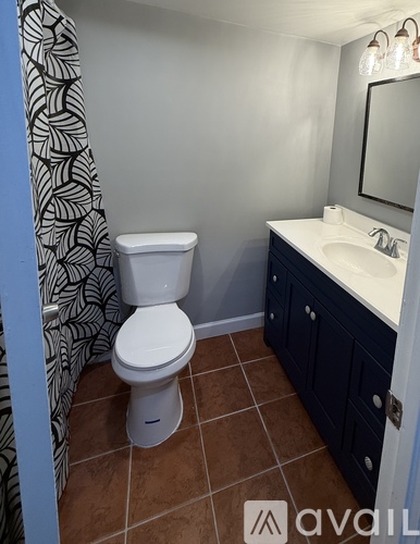 A bathroom with a toilet, sink, and shower curtain.