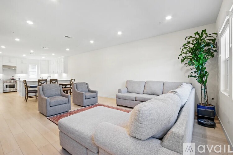 A living room with a grey sofa and a green plant.