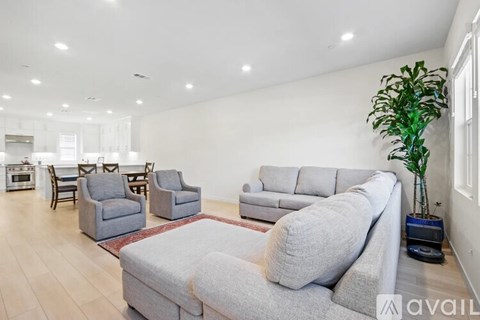 A living room with a grey sofa and a green plant.