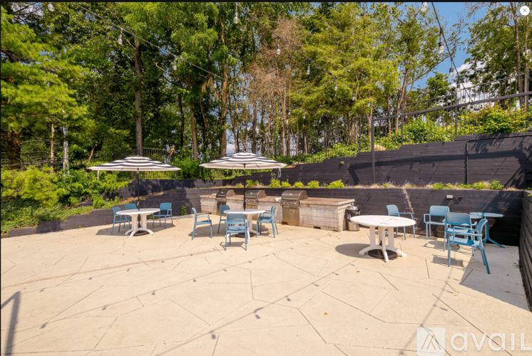 A patio with tables and chairs surrounded by trees.