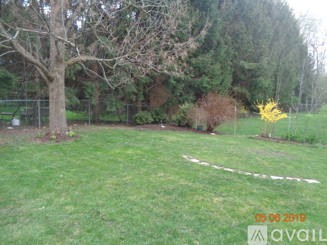 A backyard with a tree, a fence, and a yellow plant.