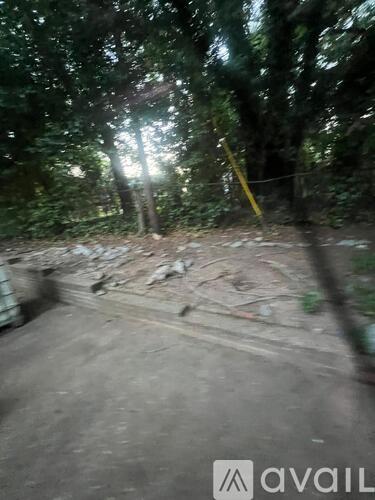 A blurry image of a forest path with a yellow pole on the right side.